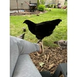 Image 2 of customer photos