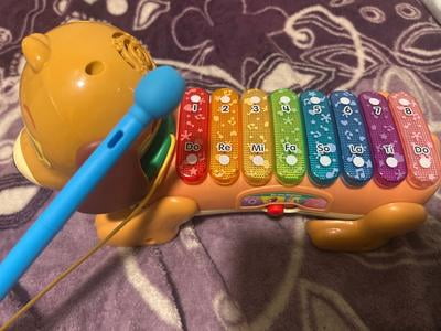 VTech, Zoo Jamz Doggy Xylophone, with Accessories, for Toddlers