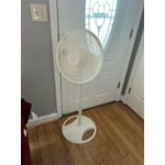Image 5 of customer photos