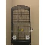 Image 4 of customer photos