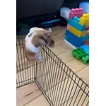 Image 6 of customer photos