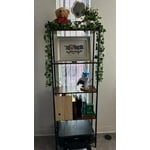 Image 7 of customer photos