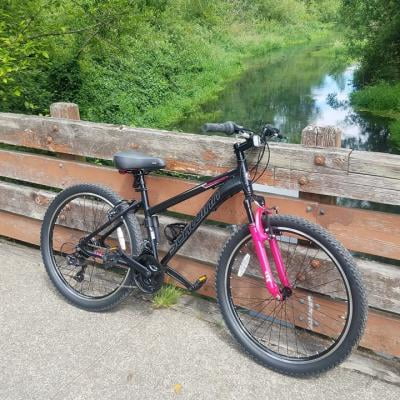 Schwinn sidewinder best sale women's