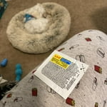 Image 5 of customer photos