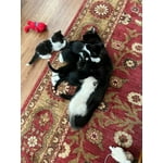 Image 1 of customer photos