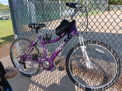 Mountain Bike Purple Avalon Bike Women's Mountain Bike Kent