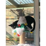 Image 7 of customer photos