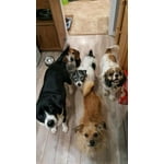 Image 2 of customer photos