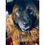 Image 7 of customer photos