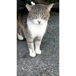 Image 3 of customer photos