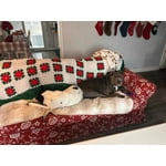 Image 3 of customer photos