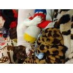 Image 2 of customer photos