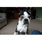 Image 5 of customer photos