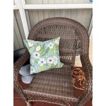 Image 6 of customer photos