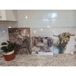 Image 4 of customer photos