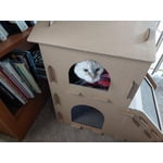 Image 2 of customer photos