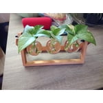 Image 4 of customer photos