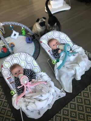 Triplets Multiples BABY BOTTLE HOLDER Twins Hands Free Feeding Paw Prints