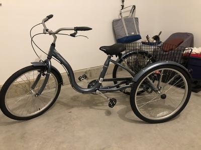 schwinn adult tricycle