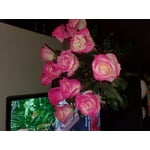 Image 8 of customer photos