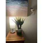 Image 6 of customer photos