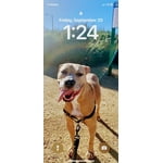 Image 4 of customer photos