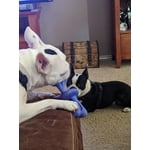 Image 1 of customer photos