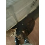 Image 5 of customer photos