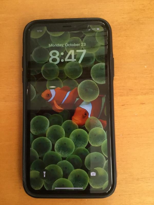 Open Box) Apple iPhone 11 - Carrier Unlocked - 128GB Black