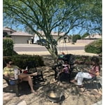 Image 1 of customer photos