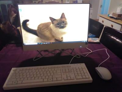 Hp 22 Aio Celeron White 4gb 256gb Desktop All In One Walmart Com Walmart Com