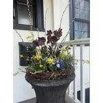 Image 3 of customer photos