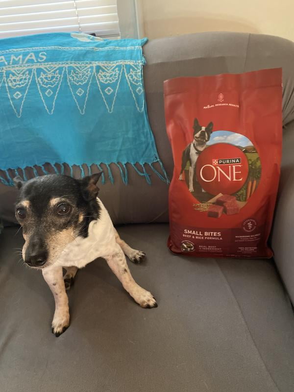 purina one chicken and rice