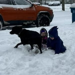 Image 2 of customer photos