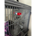 Image 3 of customer photos