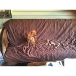 Image 1 of customer photos