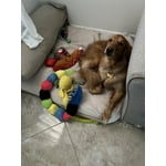 Image 3 of customer photos