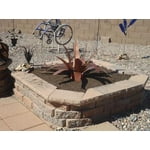 Image 7 of customer photos