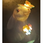 Image 2 of customer photos