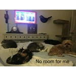 Image 2 of customer photos