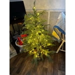 Image 6 of customer photos