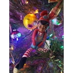 Image 6 of customer photos