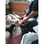 Image 3 of customer photos