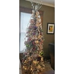 Image 5 of customer photos