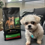 Image 6 of customer photos