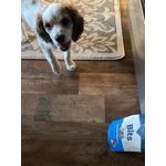 Image 3 of customer photos