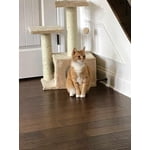 Image 6 of customer photos