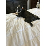 Image 6 of customer photos