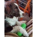 Image 3 of customer photos