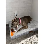 Image 4 of customer photos